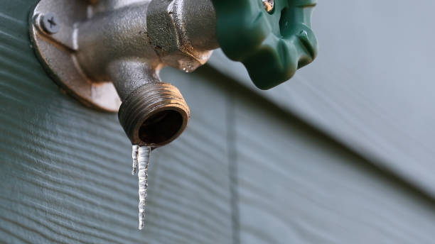 Best Leak Detection Services  in Shannondale, WV
