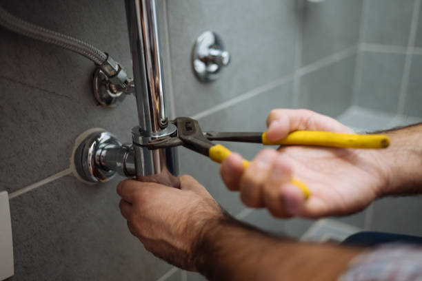 Best Plumbing Inspection Services  in Shannondale, WV